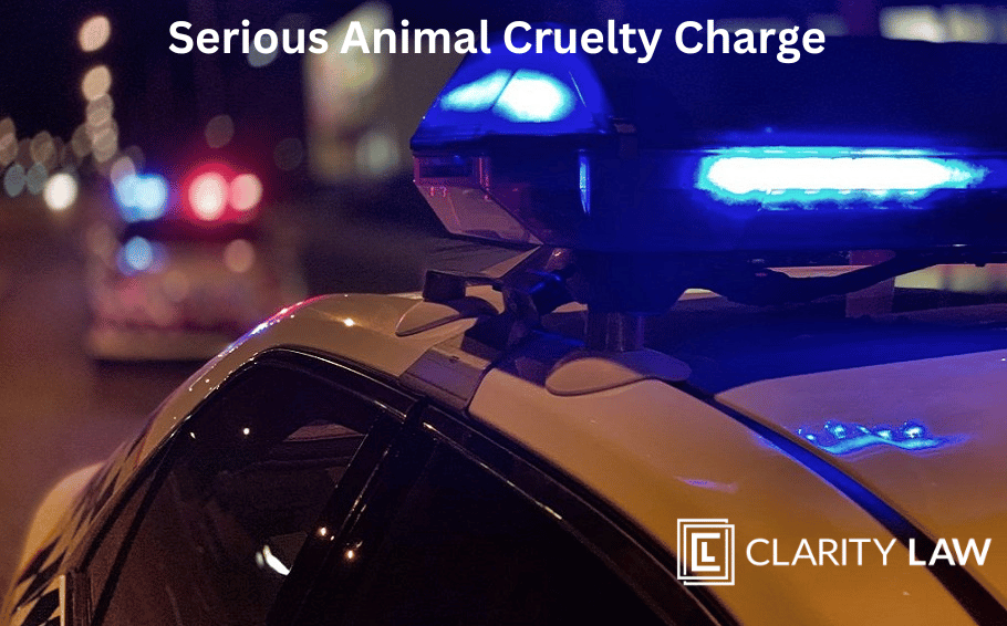 Serious Animal Cruelty Charge