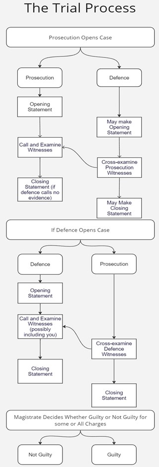 trial process